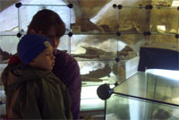 палеонтологический музей в пещере Эмине-Баир-Хосар